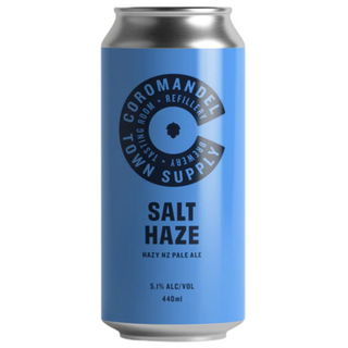 Blue can of 'Salt Haze' beer with branding on a white background