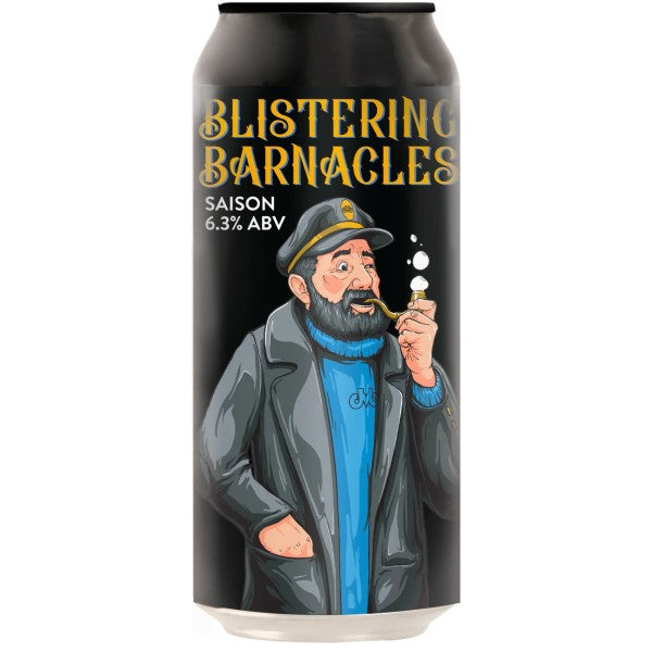 Double Vision Blistering Barnacles Saison 440ml