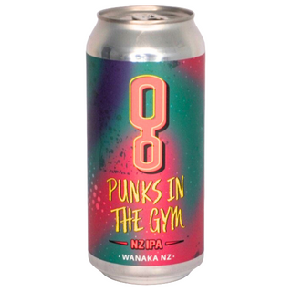Cans of 'Punks in the Gym' NZ IPA with colorful label on a white background