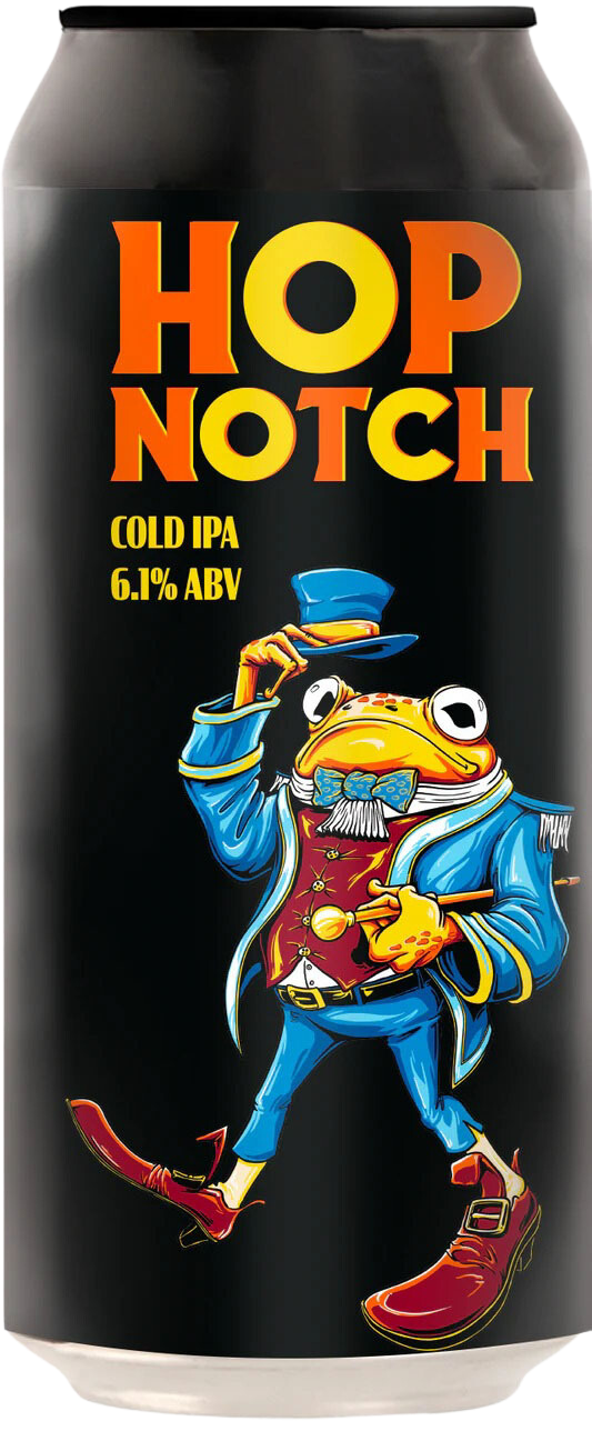Double Vision Hop Notch Cold IPA 440ml